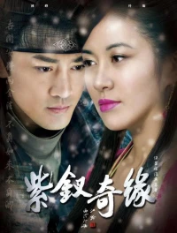Tử Hoa Kỳ Duyên (The Purple Hairpin) [2013]